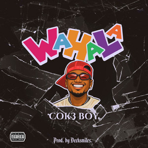 COKE BOY - WAHALA