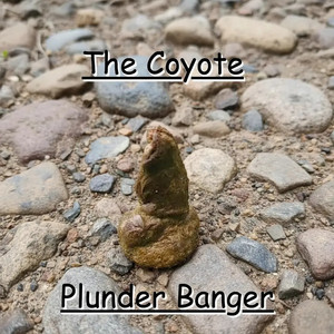 The Coyote by Plunder Banger