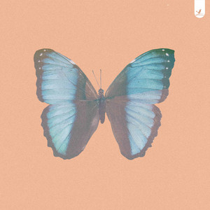 Wings by Cloudsurfin'