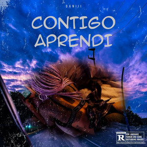 CONTIGO APRENDI by DANIII