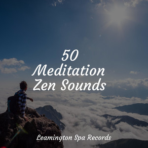 50 Meditation Zen Sounds album