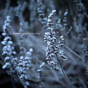 Another Path to Winter by Le Code