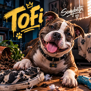Tofi by Sonybeth