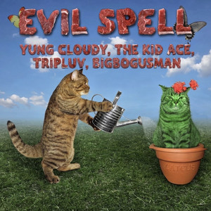 evil spell (feat. BigBogusMan & TripLuv)