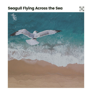 Seagull Flying Across the Sea album