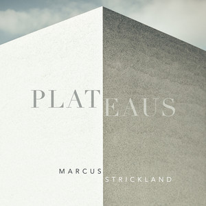 Plateaus by Marcus Strickland