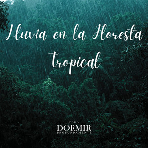 Lluvia en la Floresta Tropical