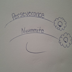 Perseverance by Nuummite