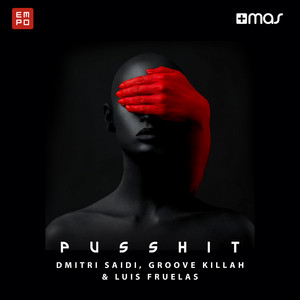 Groove Killah cover