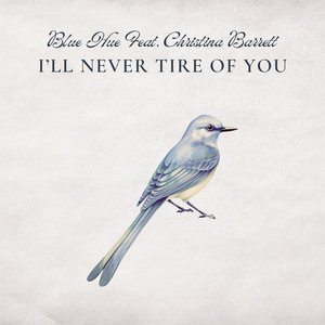 I'll Never Tire Of You (feat. Christina Barrett) by Blue Hue, Christina Barrett