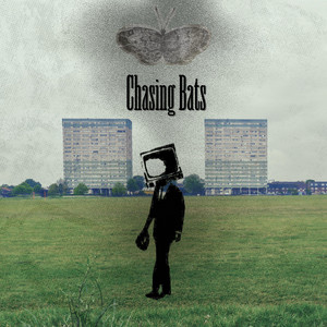 Chasing Bats