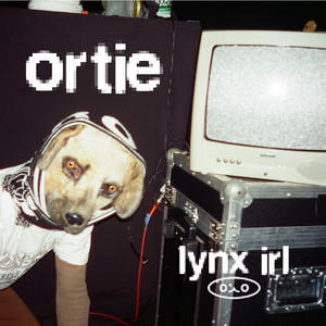 ortie by lynx irl