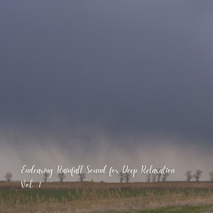 Endearing Rainfall Sound for Deep Relaxation Vol. 1 album