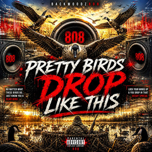 Pretty Birds Drop Like This by Backwoodz808