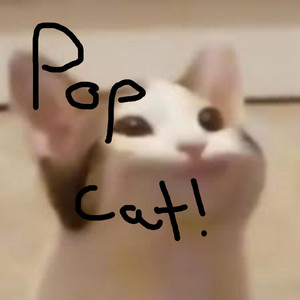 POP CAT! by Meleone