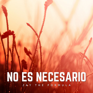 No Es Necesario by Jay The Formula
