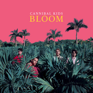 MIRACLES by Cannibal Kids