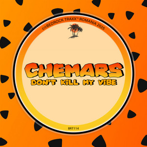 Don't Kill My Vibe - Radio Mix