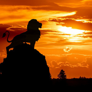 Serge Pavkin - African