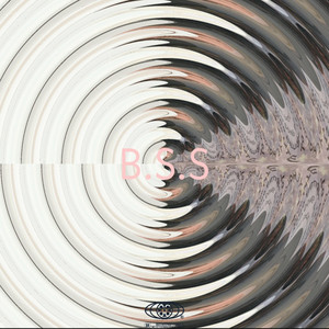 B.S.S
