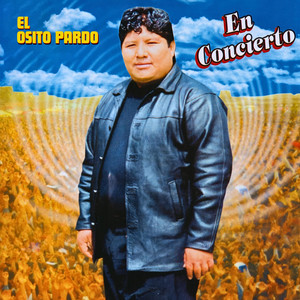 El Osito Pardo - Pienso en Ti / Por Qué Dudas / Corazón (Live)