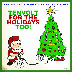 Friends of Steve poster