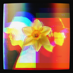 Big Yellow Magnolia by Lyrical Izzy