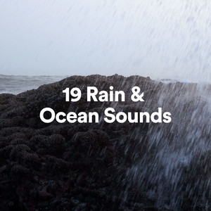 19 Rain & Ocean Sounds album