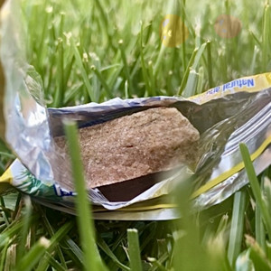 Rocks in My Pocket by Claire Culley