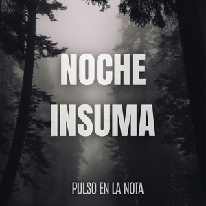 Noche Insuma by Pulso En La Nota