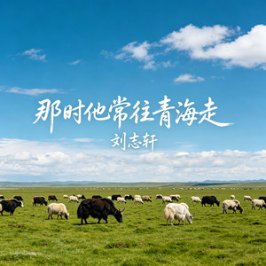 那时他常往青海走 by 刘志轩