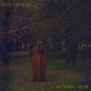 Disturbing Sound by Black Maracas