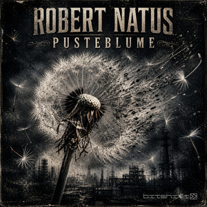 Pusteblume by Robert Natus