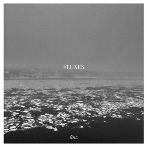 Linz — Fluxes