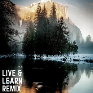 Portada de Live & Learn - Remix