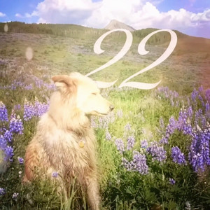 22 by Dejwd, //SOMAI