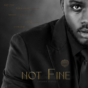 Not Fine by AVFB