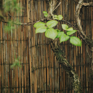 Recovery by Folded Hand