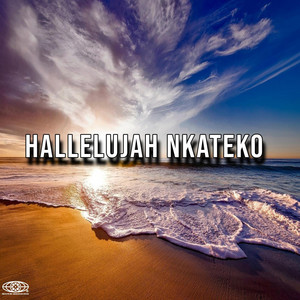 Hlulani Onnie - Hallelujah Nkateko (Radio Edit)