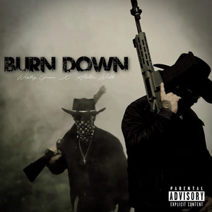 Burn Down by Wesley Green, Alston Webb