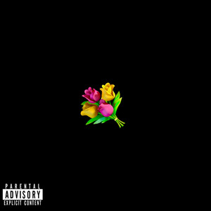 flowers by GHO$†BOY, braidedpiercing