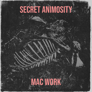 Secret Animosity by Mac Work