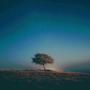 Somewhere Unlit by Eden Grey