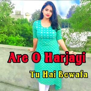 Dj Rehan Babu - Are O Harjayi Tu Hai Bewafa