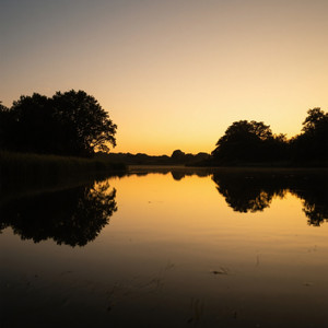 Ricardo Pereira Siqueira - blow my mind