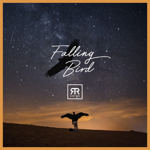 Falling Bird by Ricky Rich
