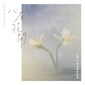 心有花开 by 小娟&山谷里的居民, 赵靖