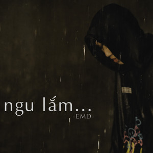 EmD - Ngu Lắm