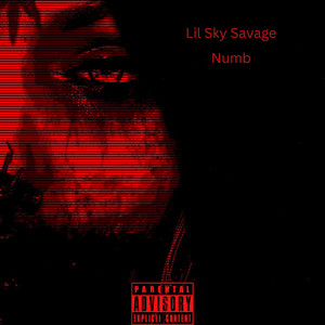 Numb by Lil Sky Savage