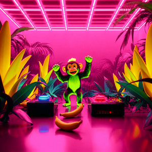 Nico | Spotify